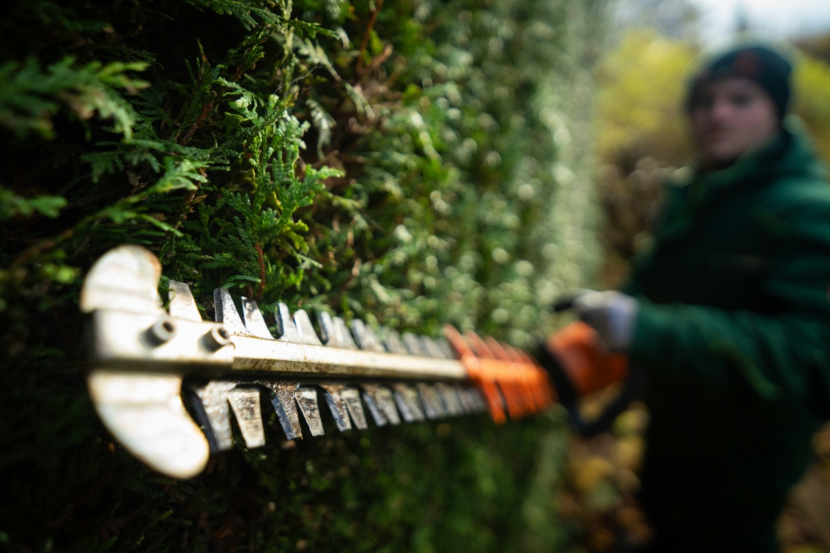Garden Maintenance